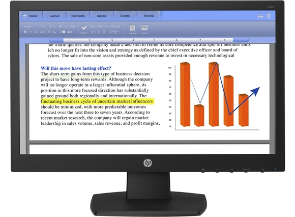 HP V194 18.5-inch Monitor